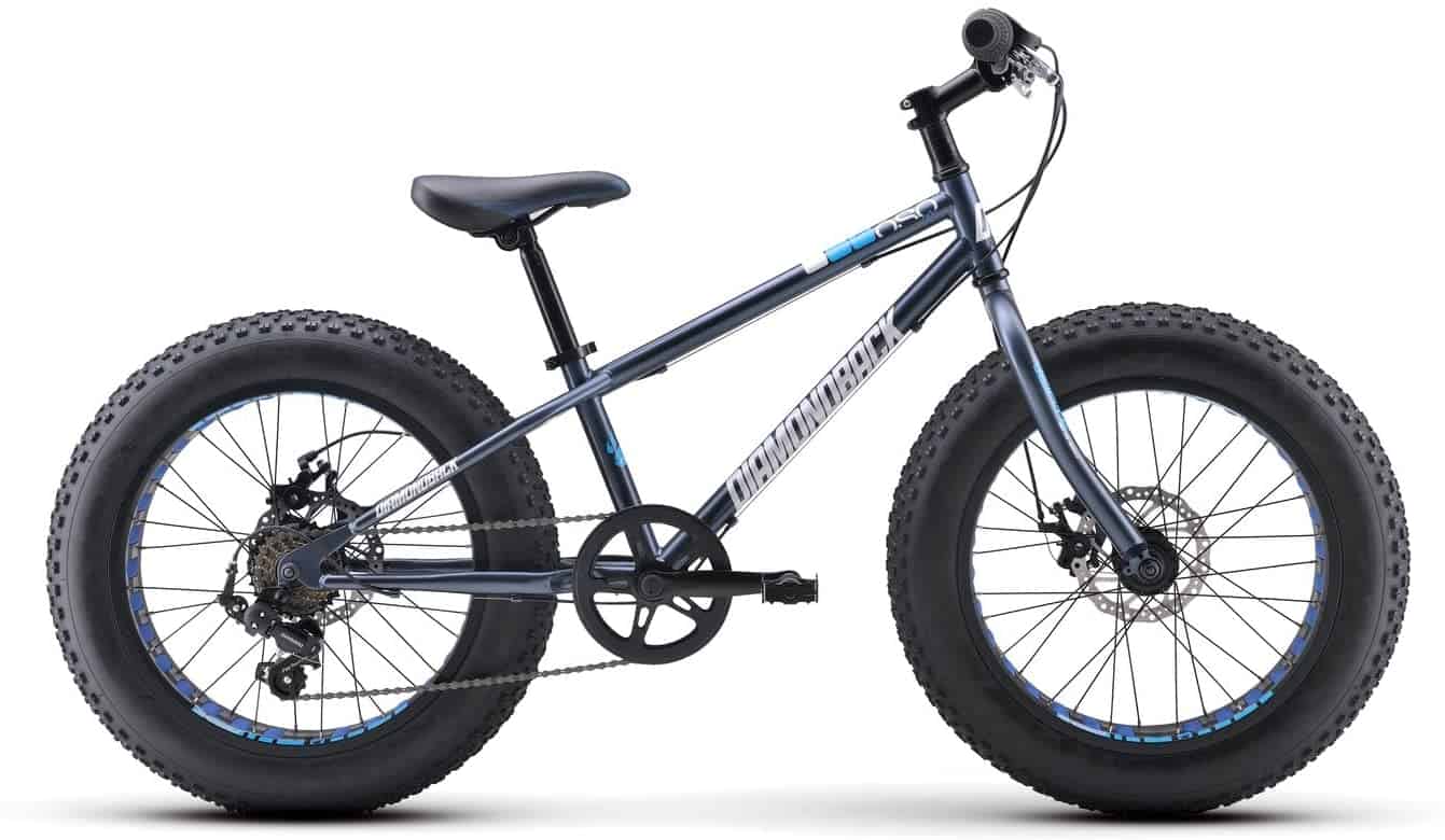 20-Inch Fat Tire Bikes – Biking Pleasure