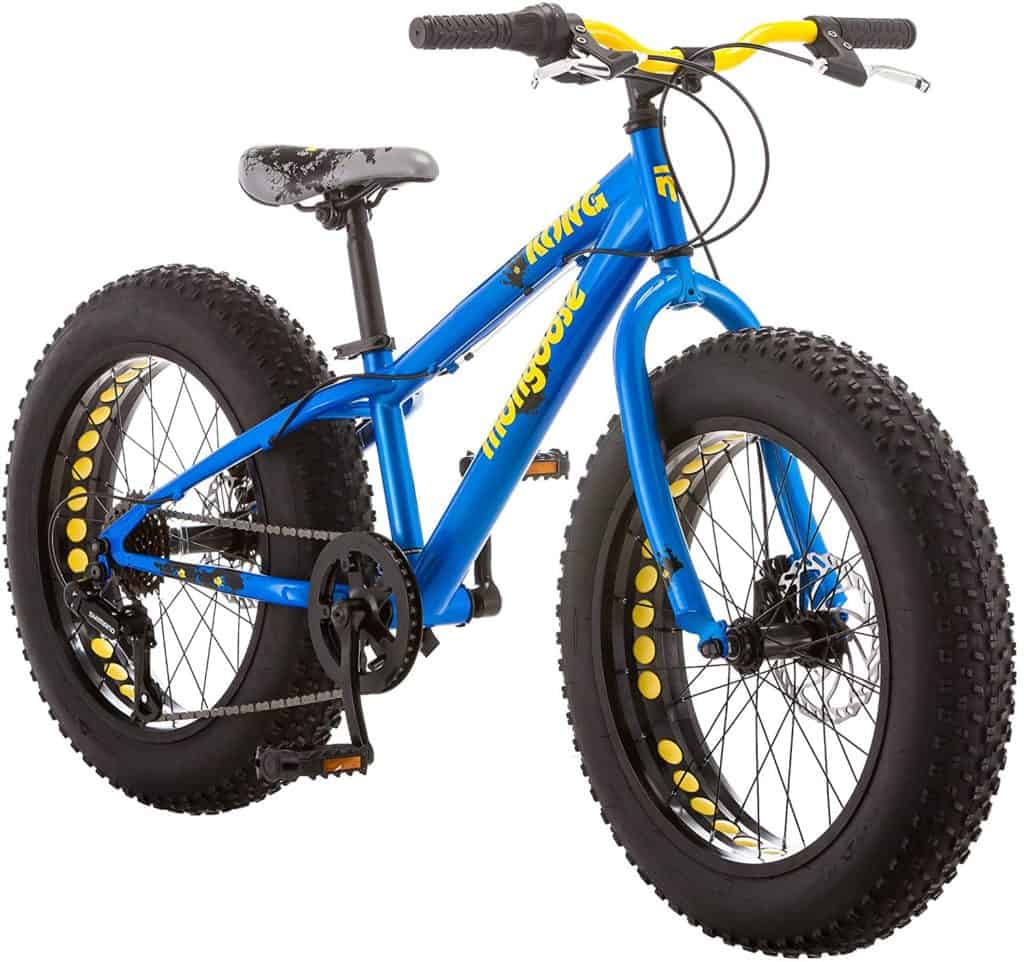 raleigh fat bike